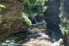 Watkins Glen