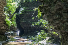 Hector-WatkinsGlen-03425